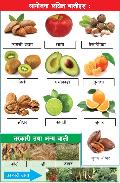 Project Target Fruits